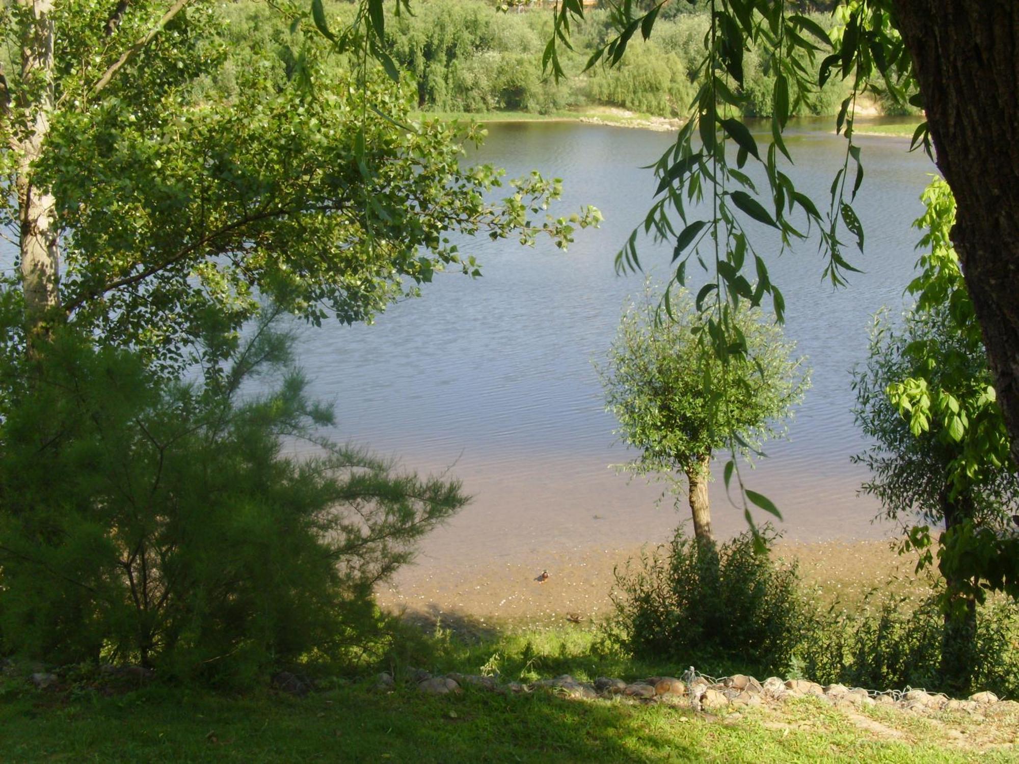 Casa Joao Chagas Guesthouse, Constância Екстериор снимка