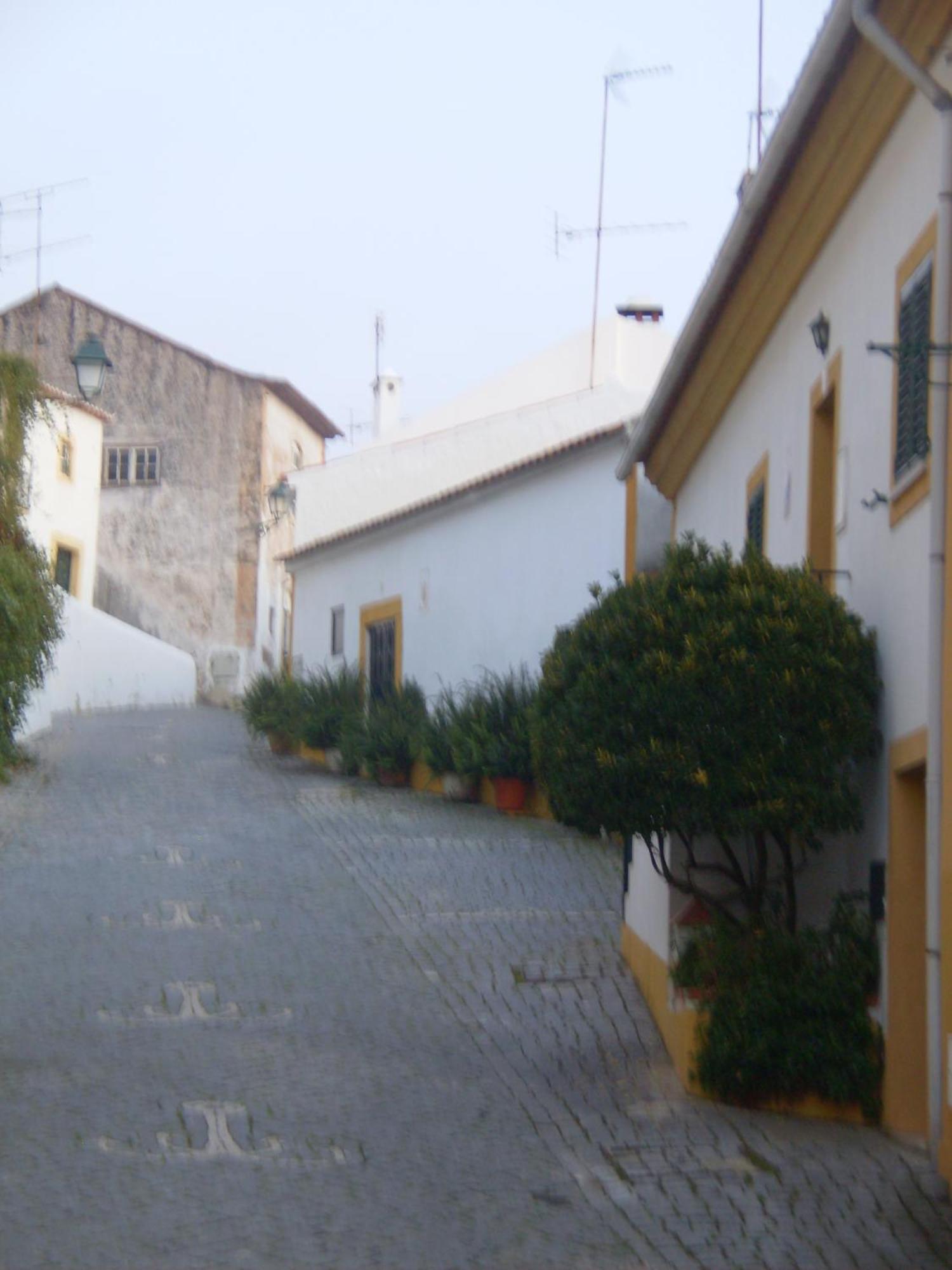 Casa Joao Chagas Guesthouse, Constancia, By Viva A Vida - Alojamentos E Hotels Екстериор снимка